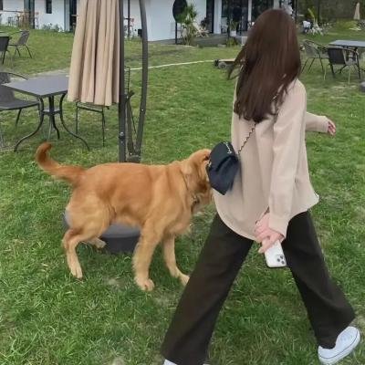沉香如屑·沉香重华